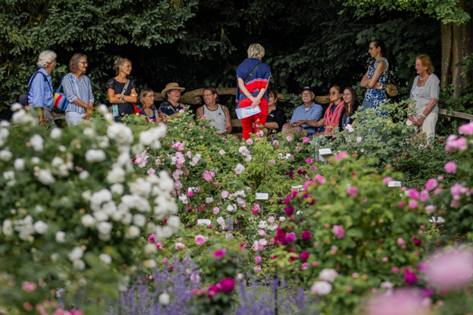 Eine Besuchergruppe auf der Roseninsel