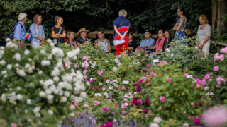 Eine Besuchergruppe auf der Roseninsel