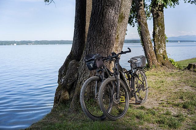 Zwei Räder lehnen am Baum neben dem See