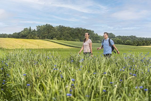 Ankommen und wohlfühlen - unsere Gastgeber in der Region StarnbergAmmersee sorgen für Ihren perfekten Aufenthalt.