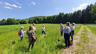 Die Wildkräuterführung