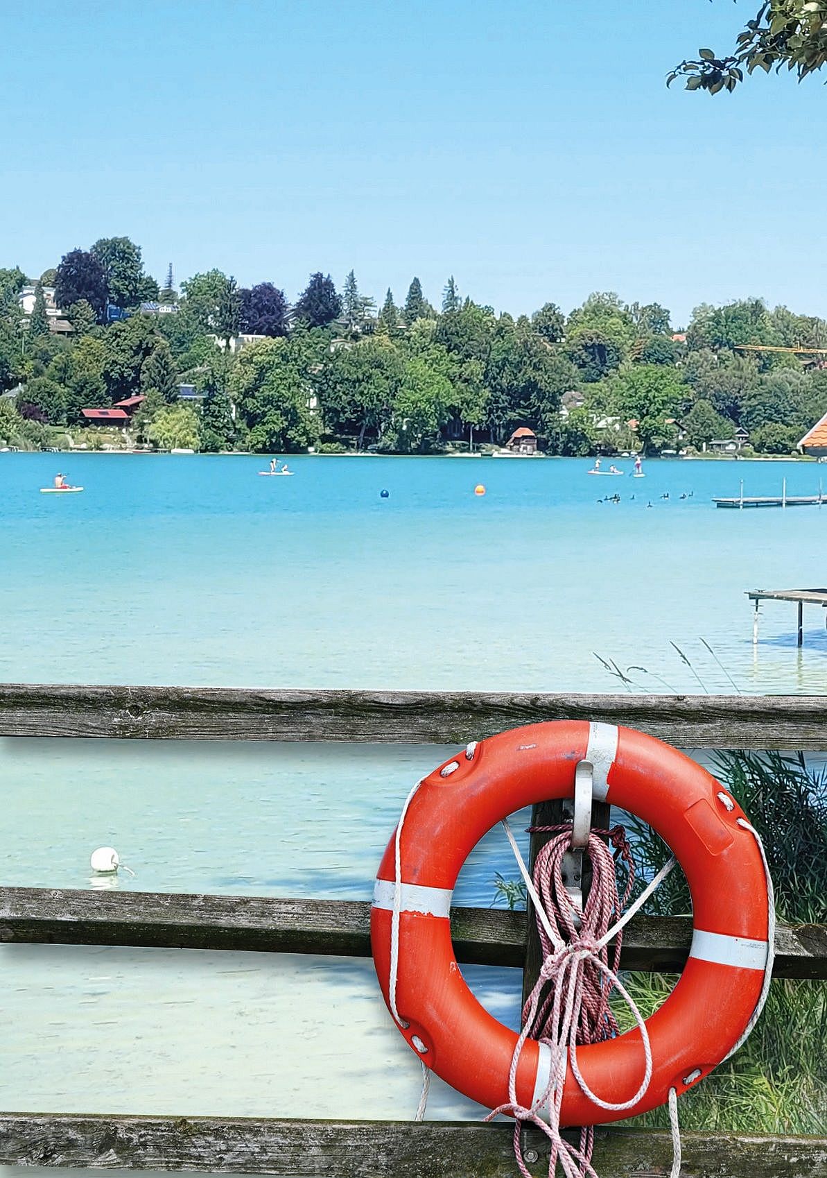 Ein Seeufer mit einem Rettungsring