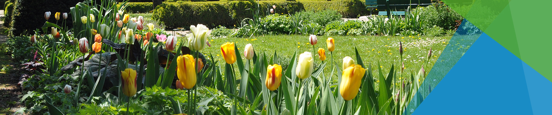 Unser Potpourri an Veranstaltungen ist genauso bunt wie die Blumen auf dem Bild. 