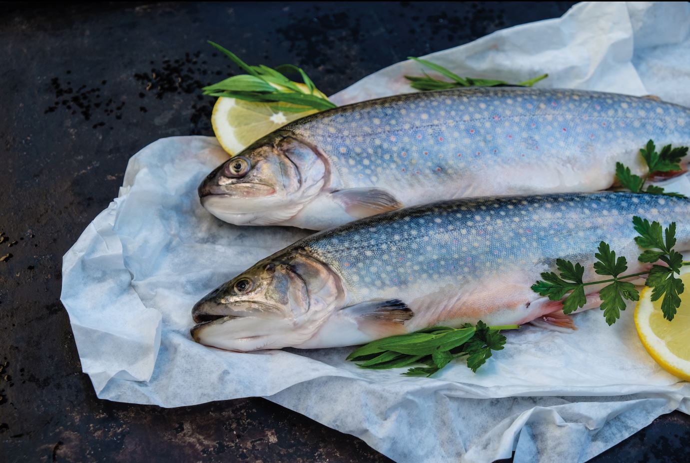 Bei der Küchenparty im Strandhotel Berg dreht sich alles um den Fisch. 